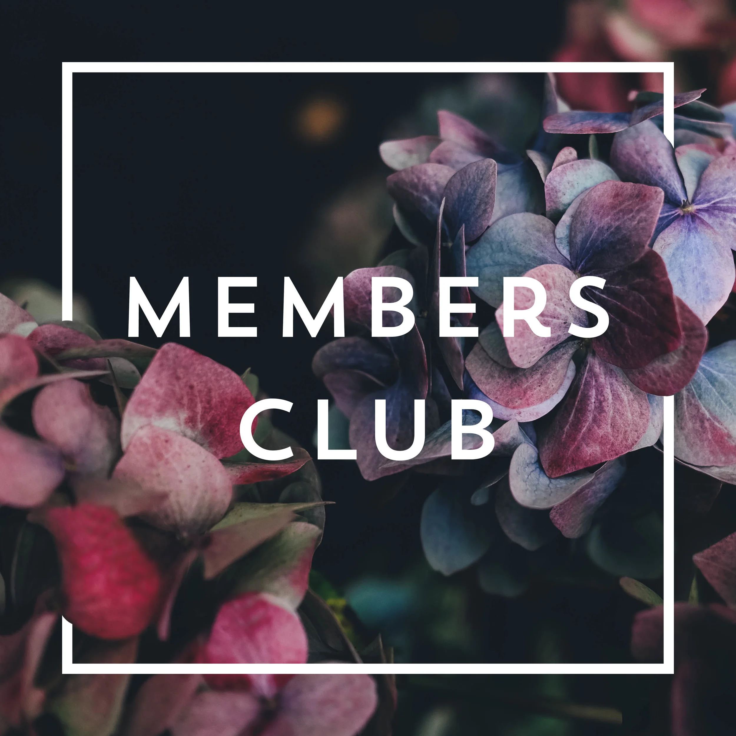 Members Club