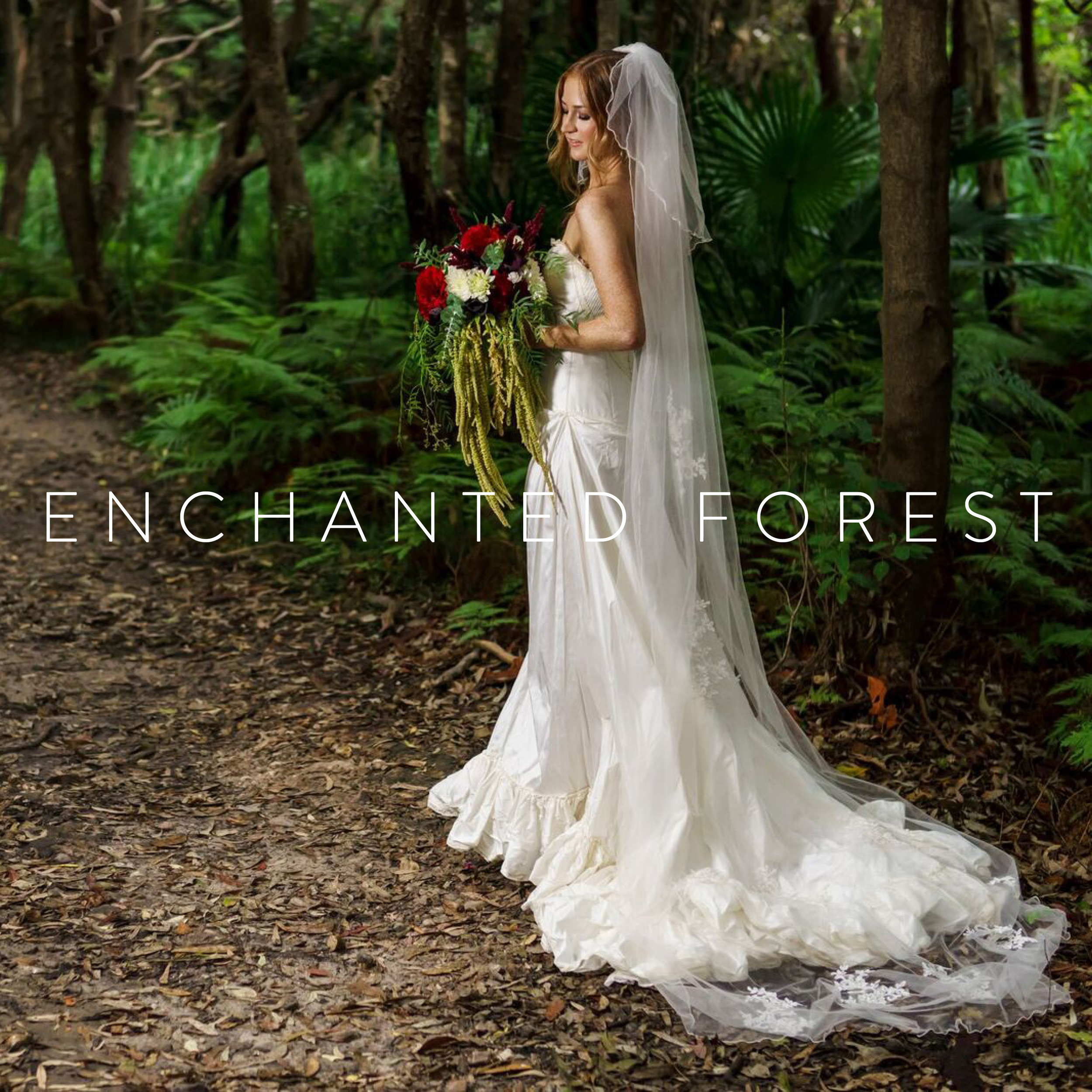 ENCHANTED FOREST