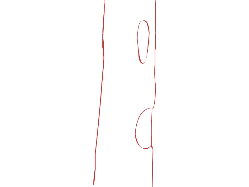 Squirrel_800x600_v001.gif