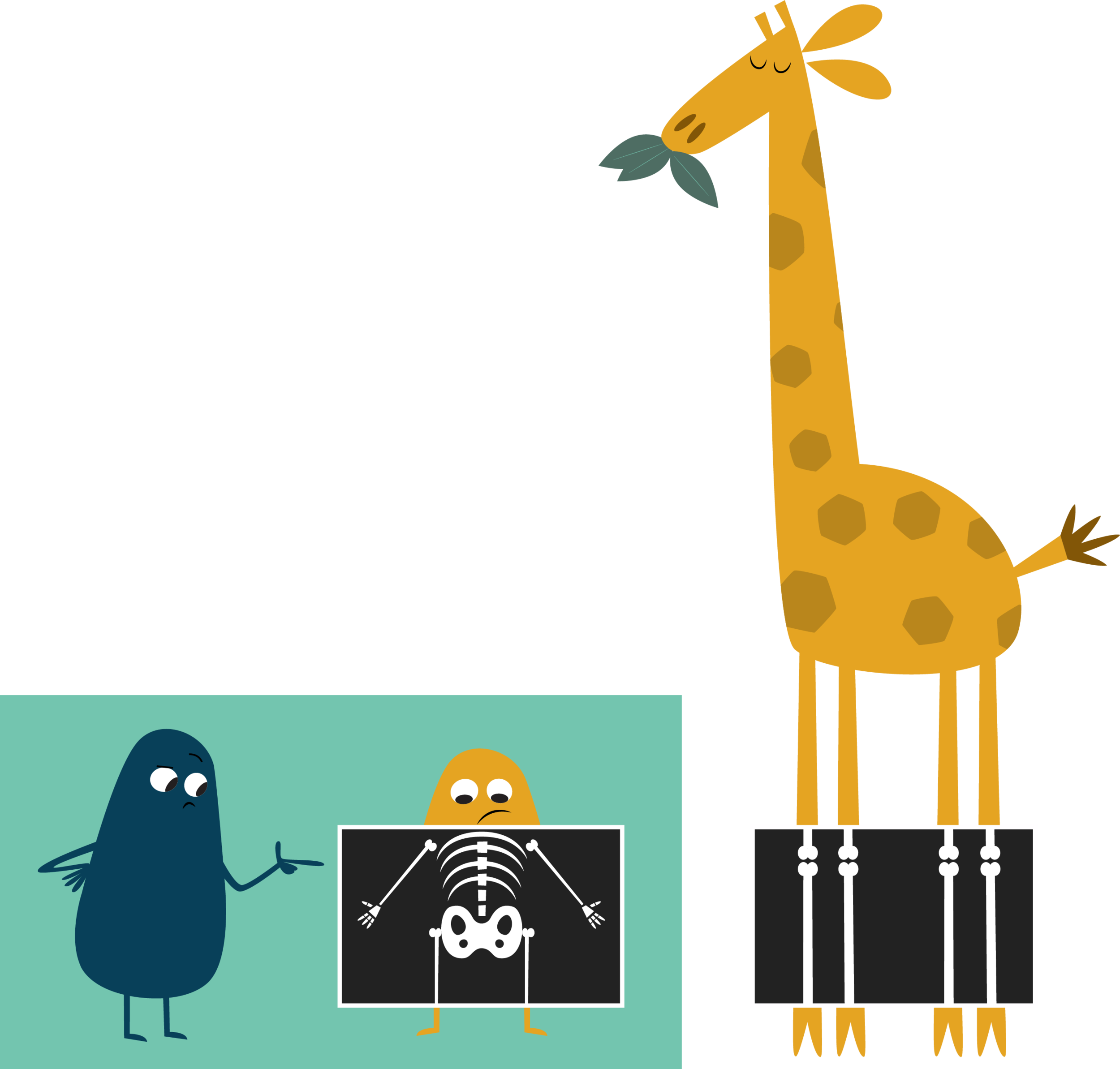 Xray.png