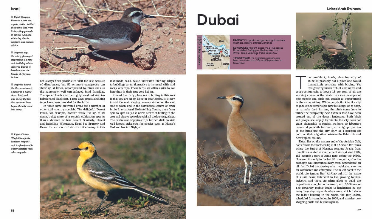 Top100Birding internals34.jpg