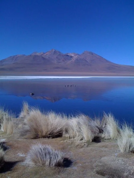 Eduardo Avaroa National Reserve, Potosí, Bolivia