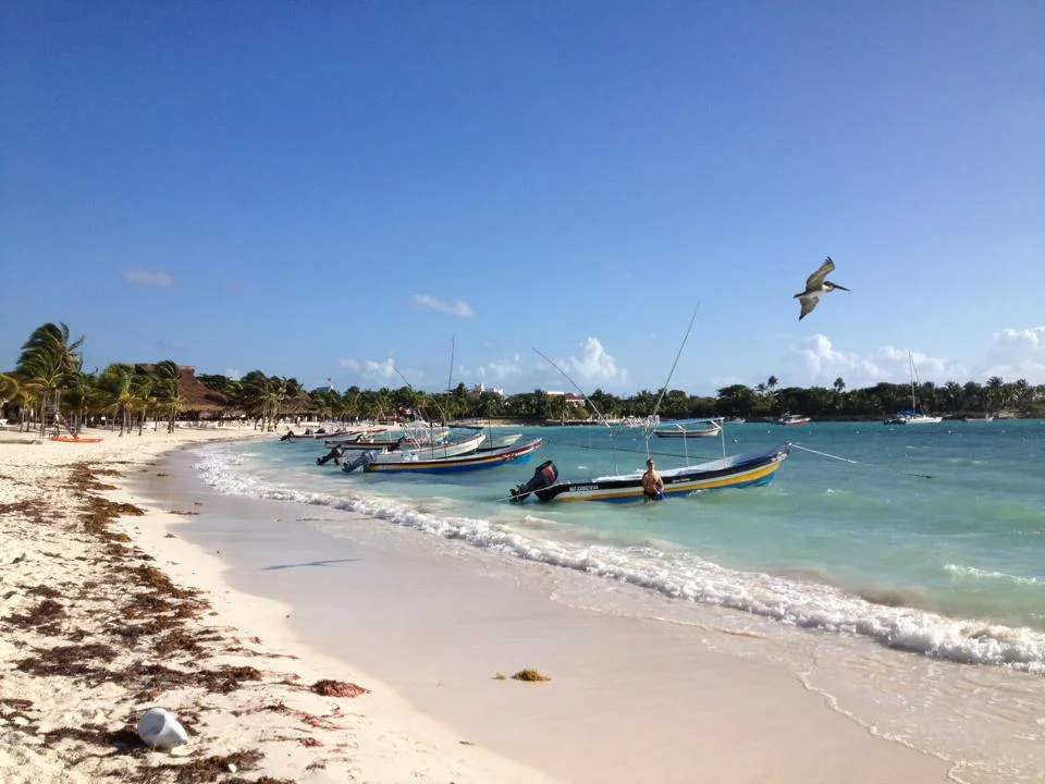 Bahía de Akumal, Quintana Roo, México