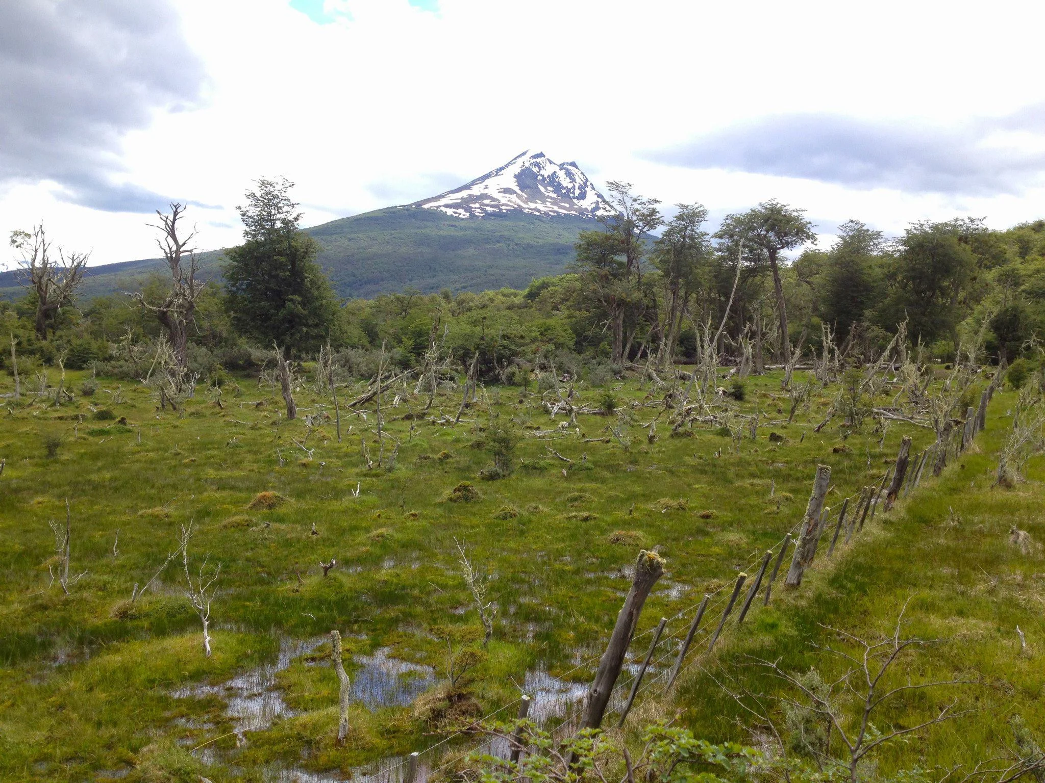 Parque Nacional Tierra del Fuego, Argentina