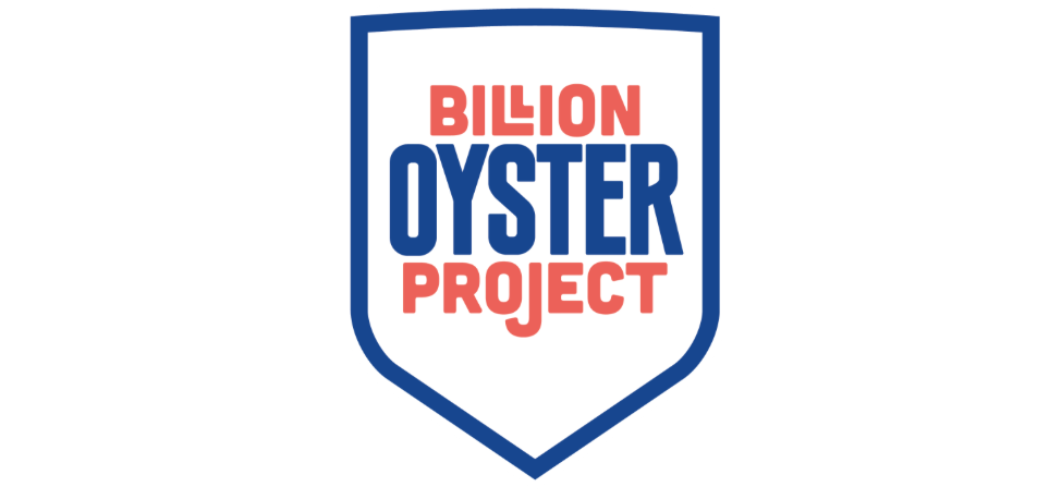 Copy of Billion-Oyster.png