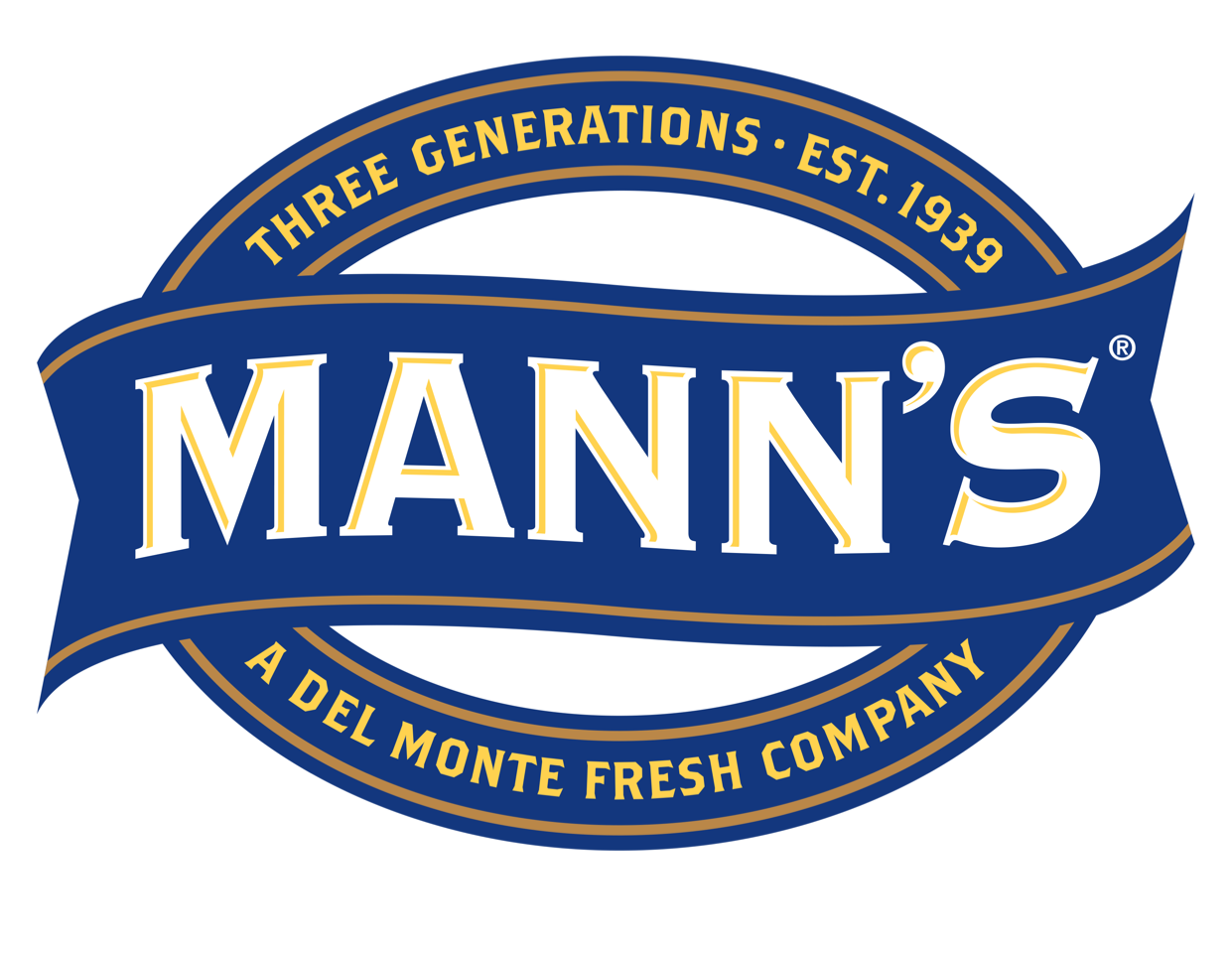DM_Mann_Logo (2).png
