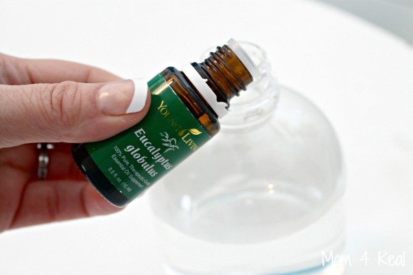 Picture of DIY Make Your Own Cat Repellent Spray — Color Glo International