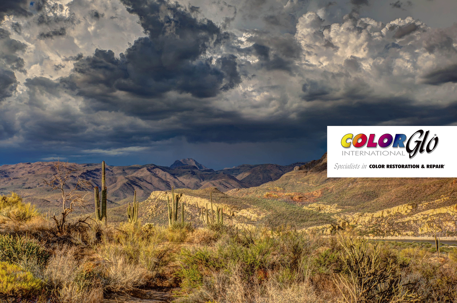 CGI Franchisee Spotlight East Valley Arizona — Color Glo International