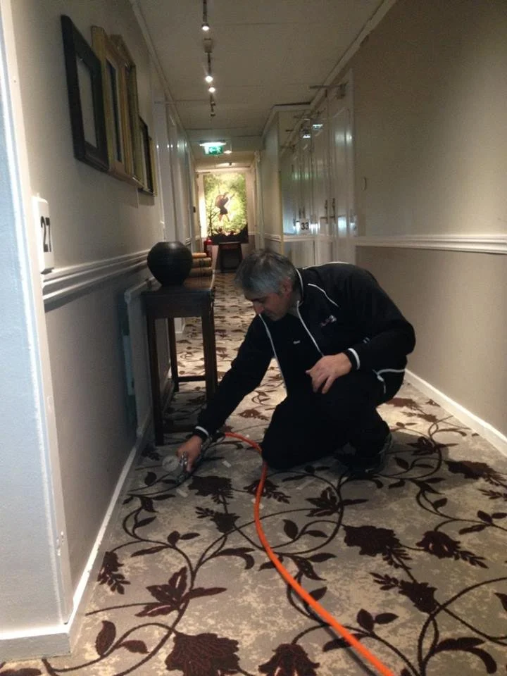 Color Glo Specialist doing color and fabric restoration on worn hotel carpet.