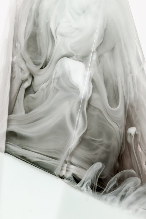 Murmur (Photo: Jonathan Middleton)
