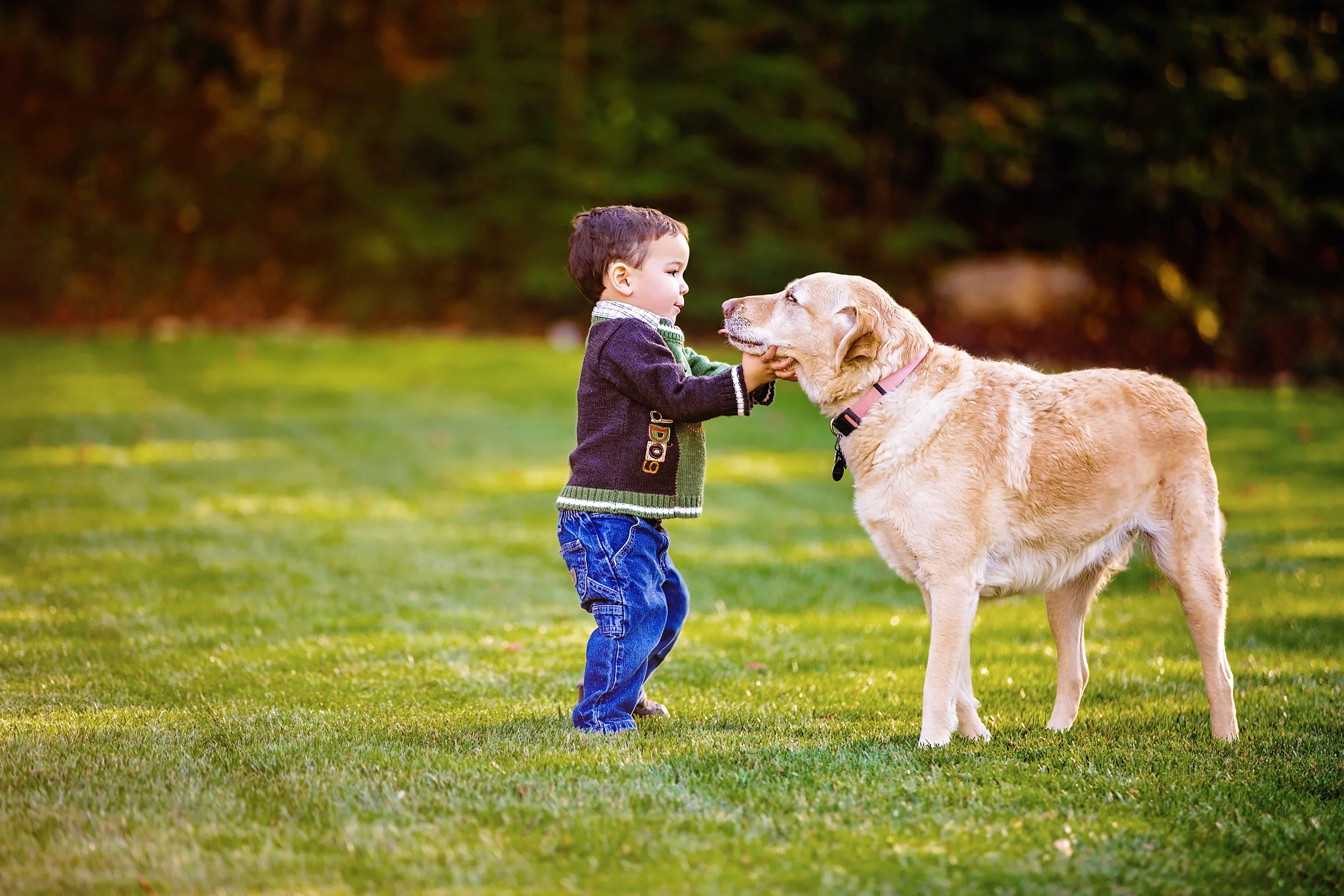 A boy and his dog
