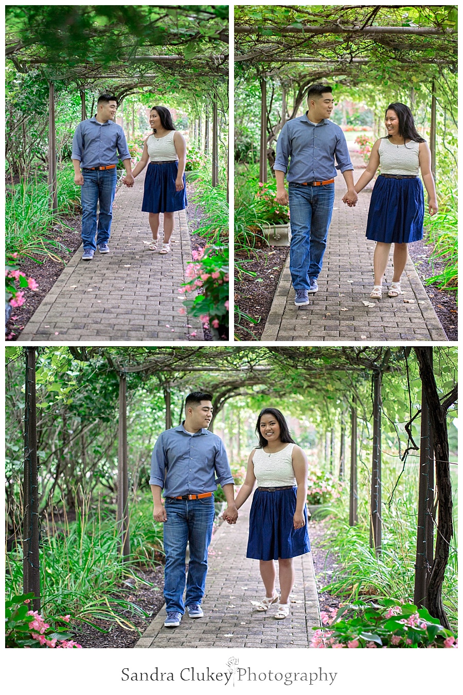 Pictures in the park