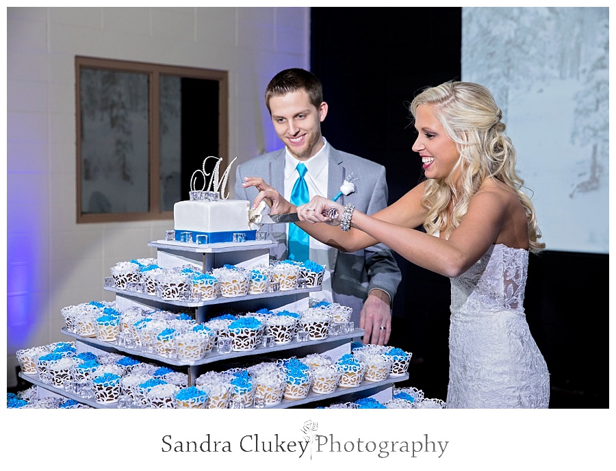 The cutting of the cake