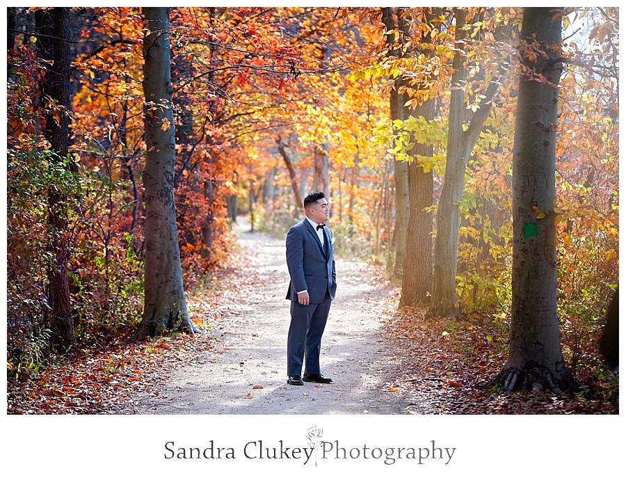 Reflective groom on tree lined path