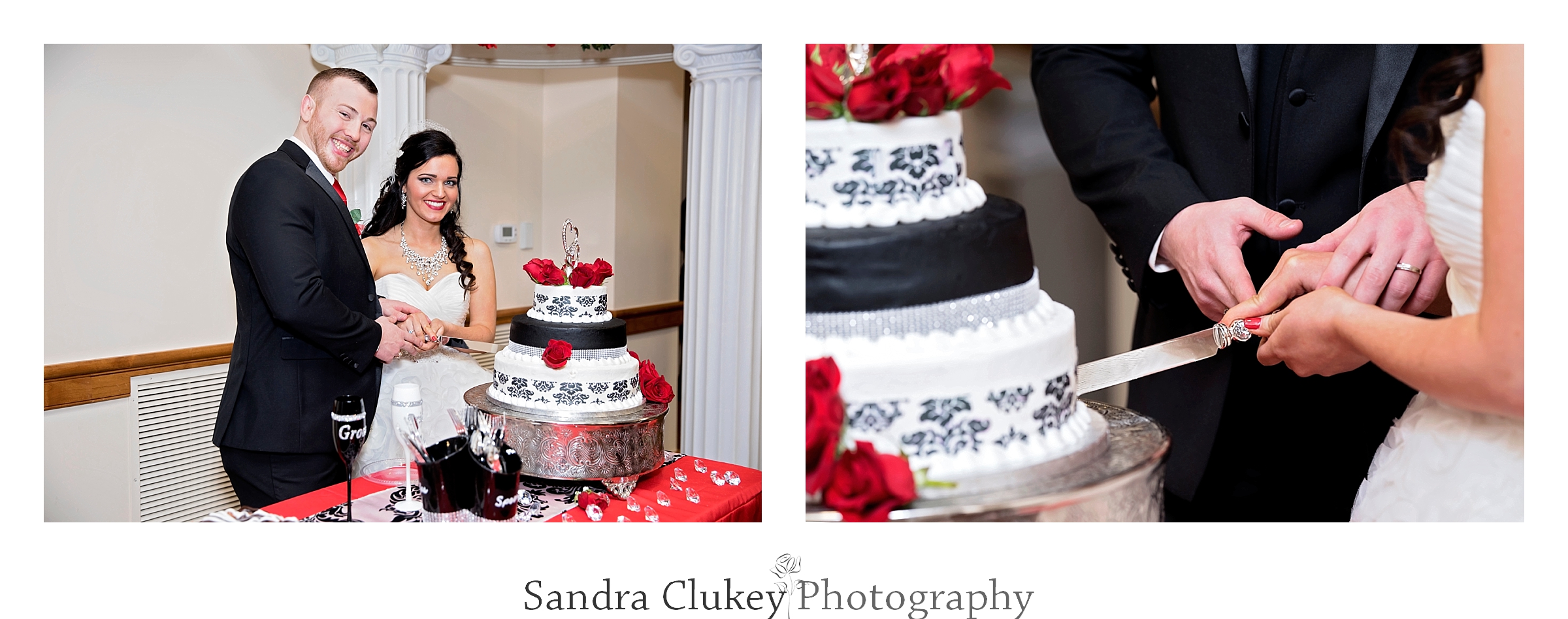 Happy couple cuts the cake