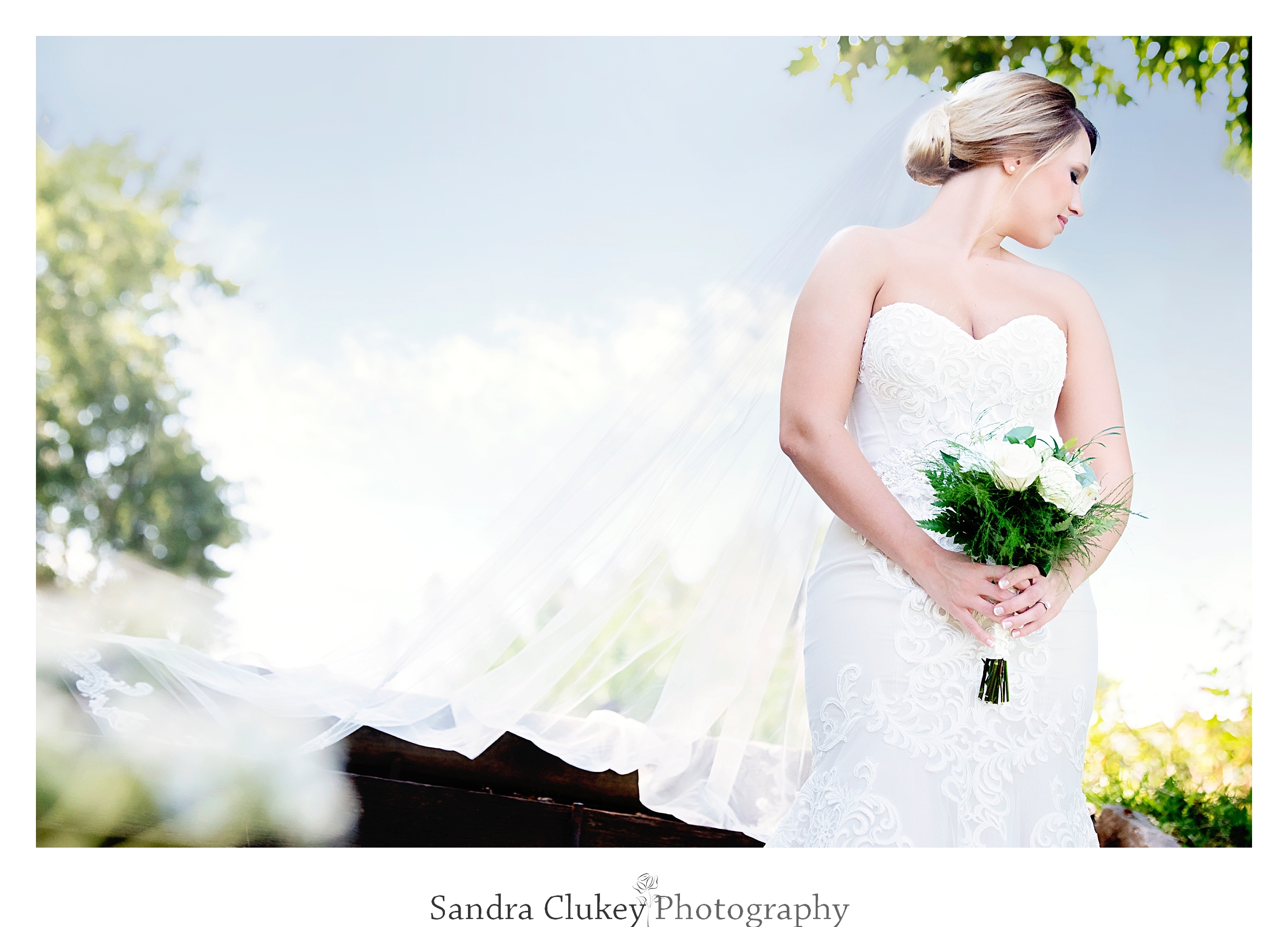 Tennessee RiverPlace Bride, Chattanooga TN