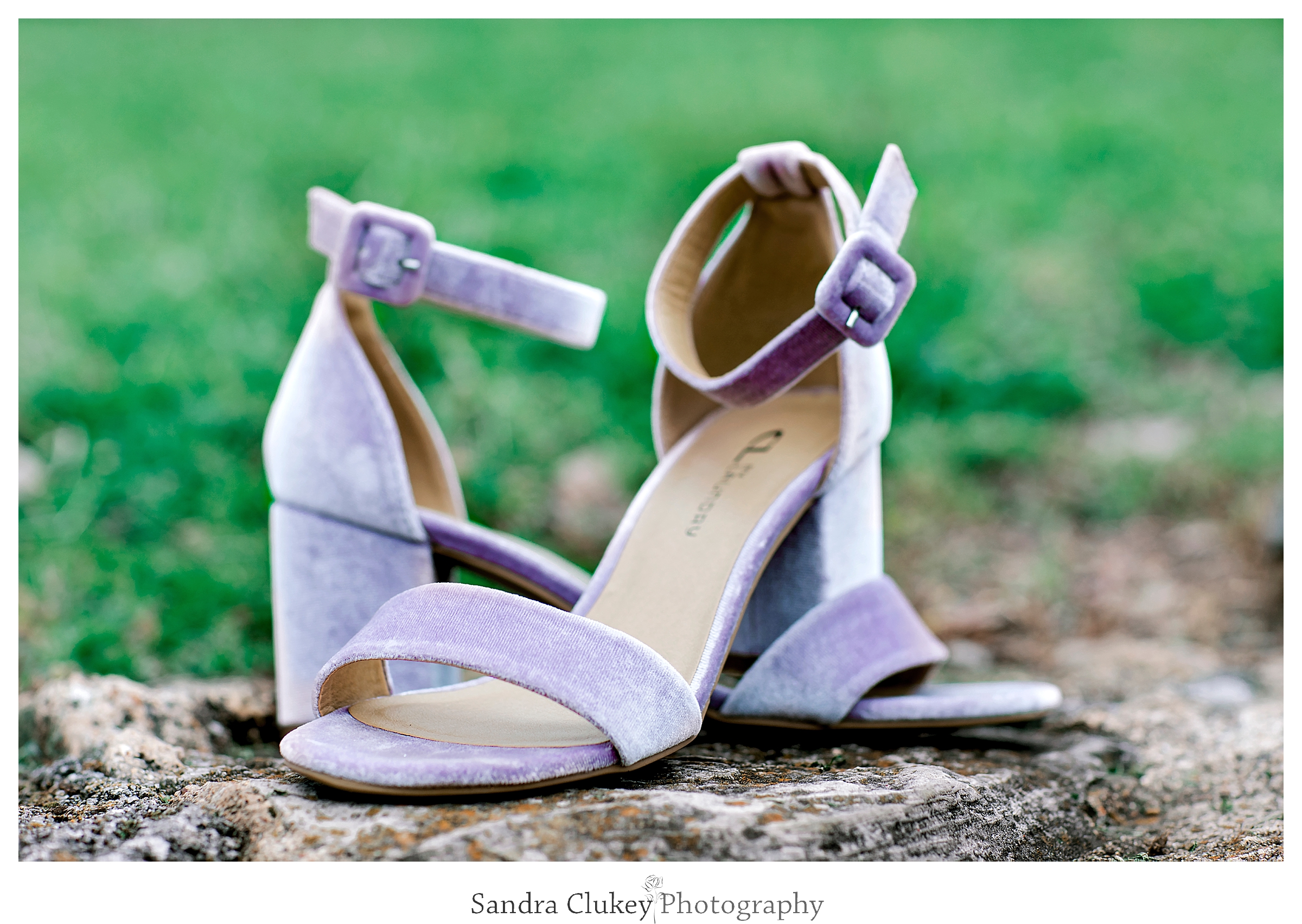 Sandra Clukey Photography_1435.jpg