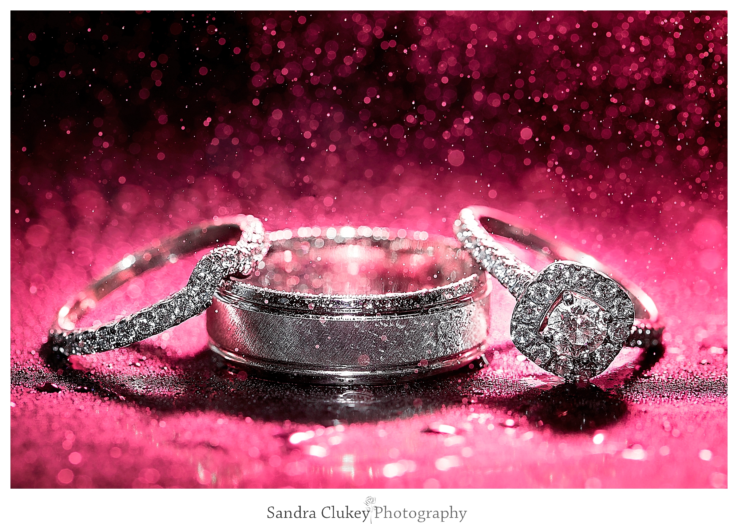 Sandra Clukey Photography_1596.jpg