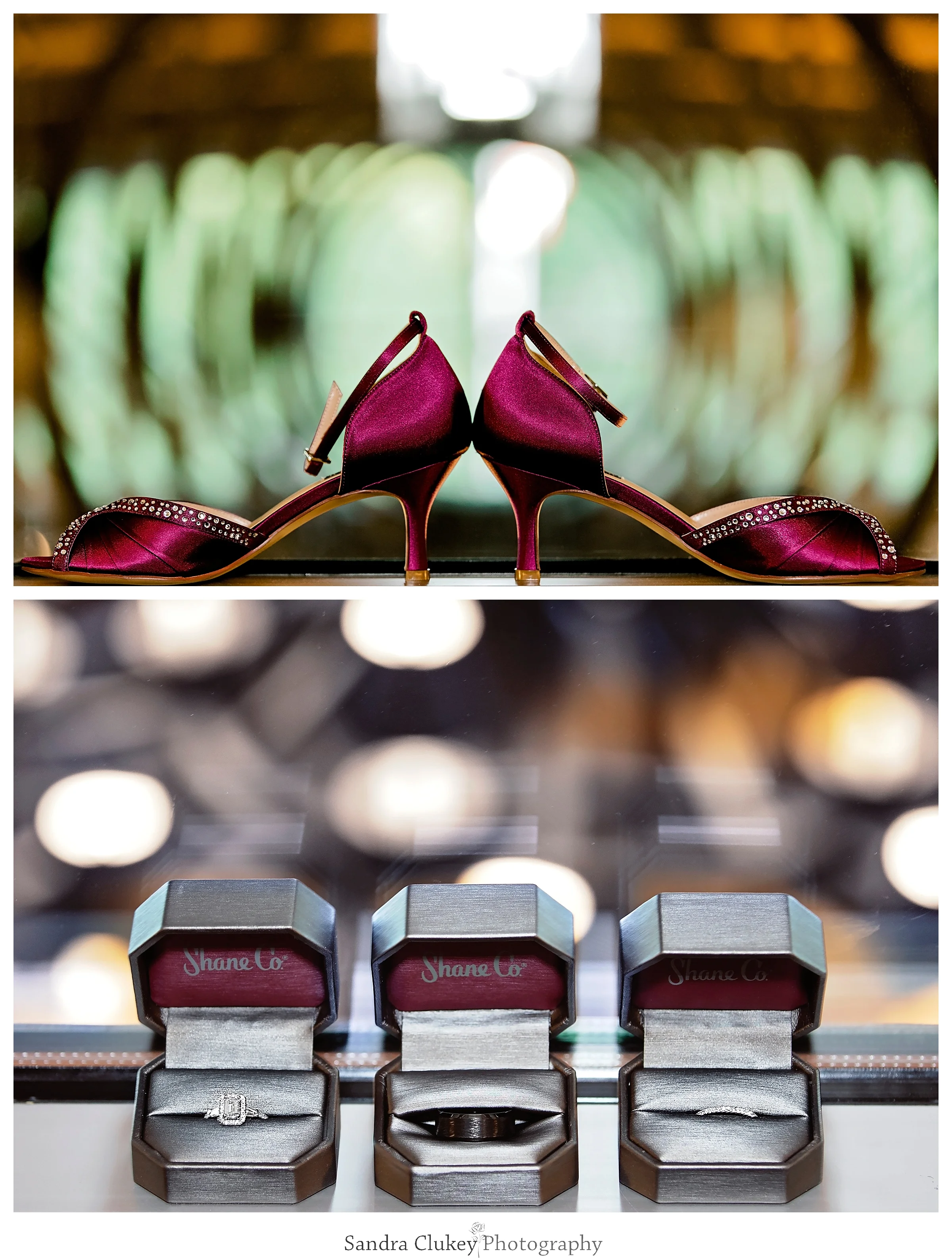 Sandra Clukey Photography_1824.jpg