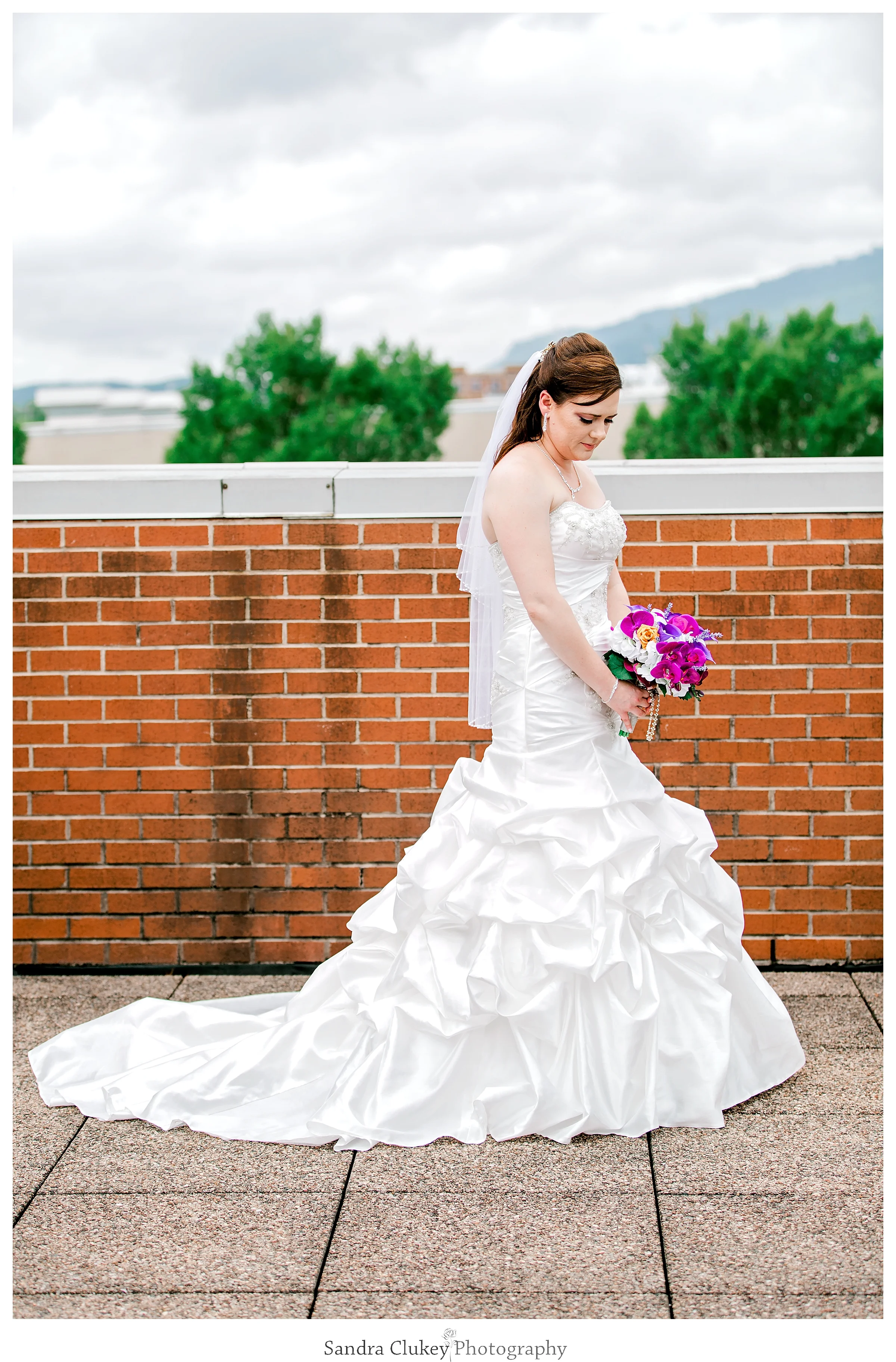 Sandra Clukey Photography_1876.jpg