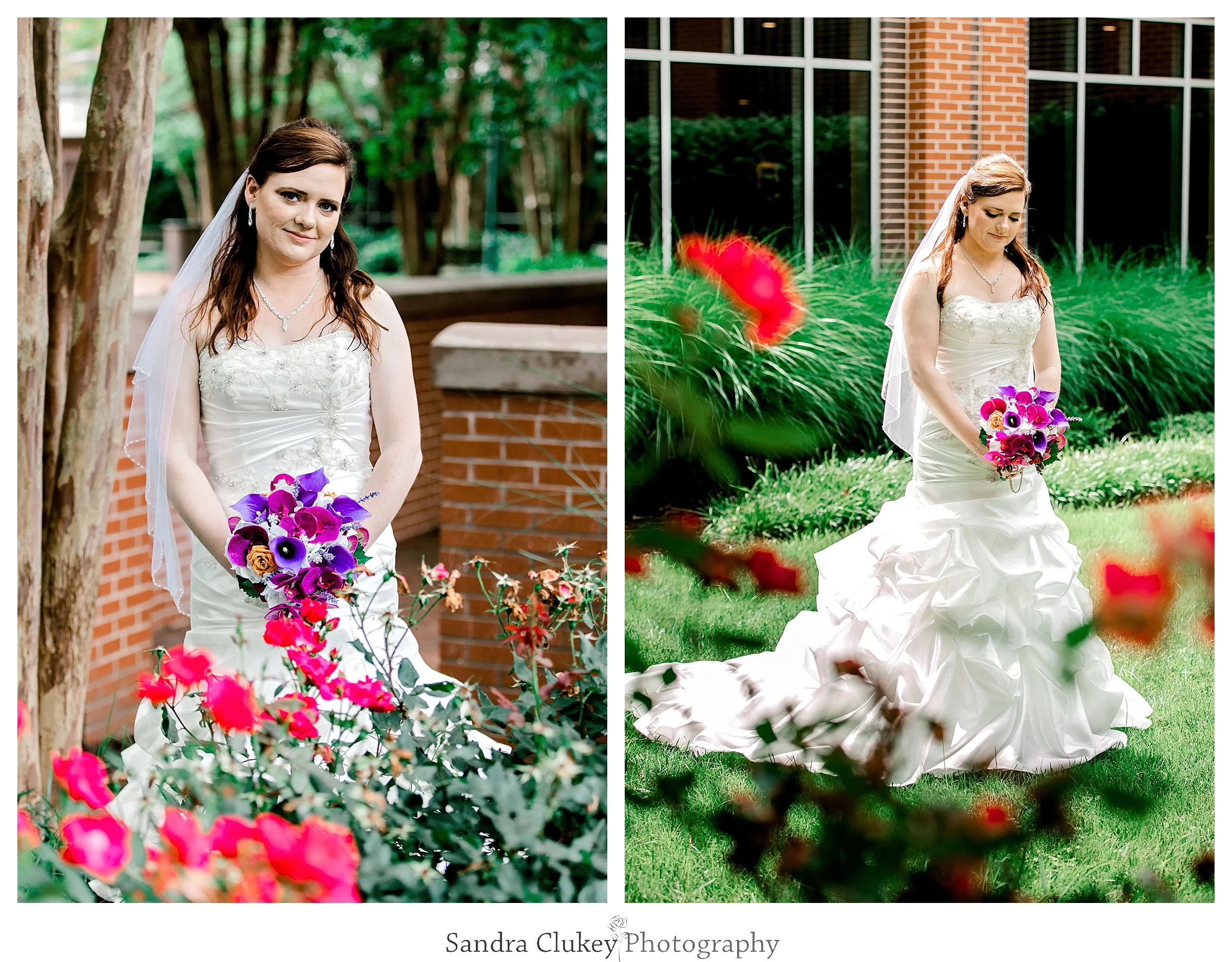 Sandra Clukey Photography_1884.jpg