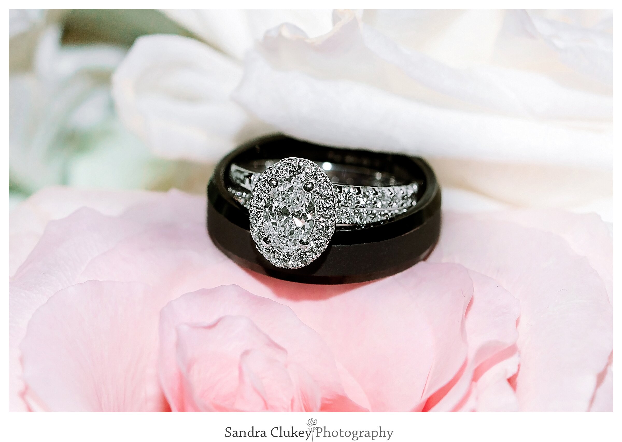 Sandra Clukey Photography_2577.jpg