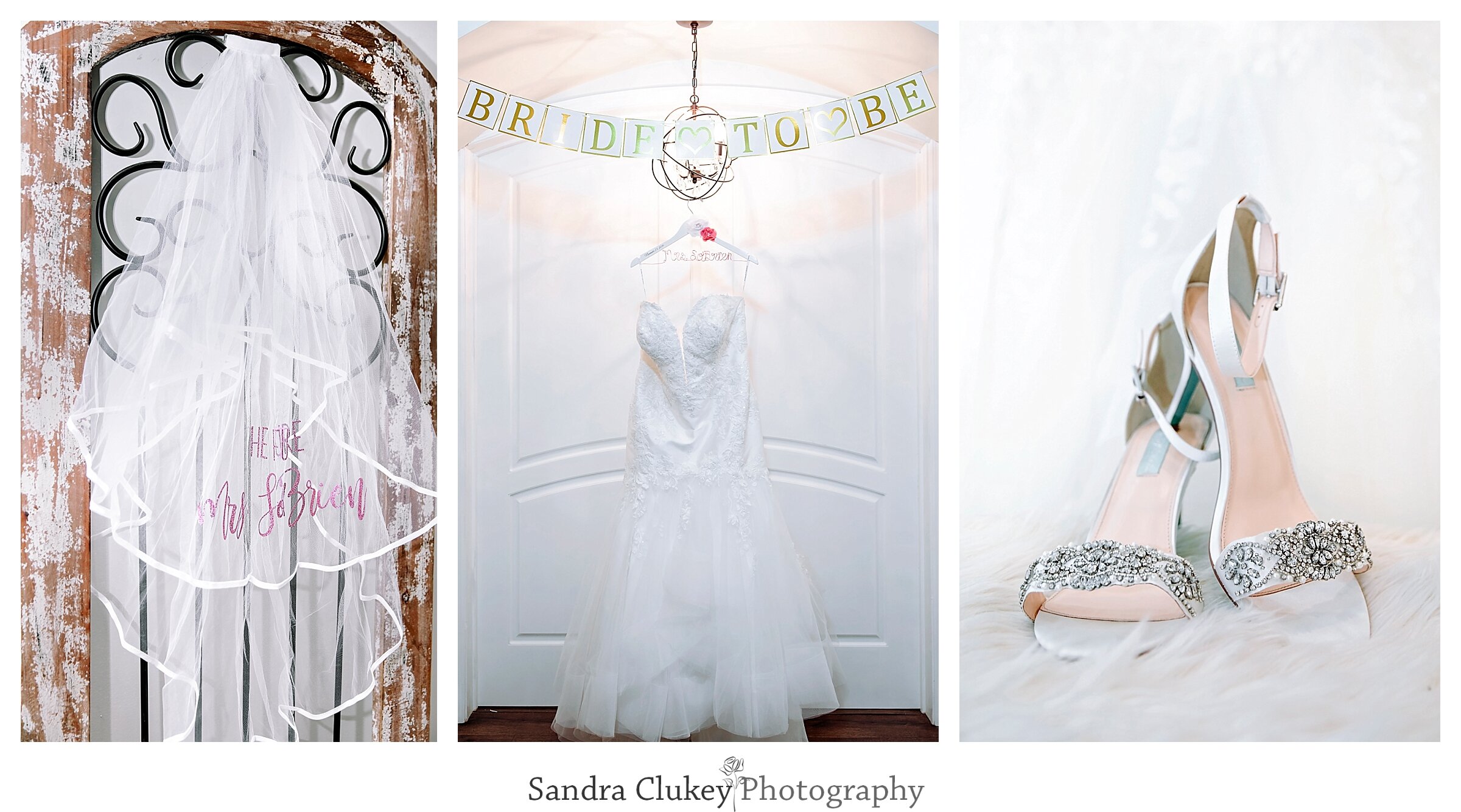 Sandra Clukey Photography_2438.jpg