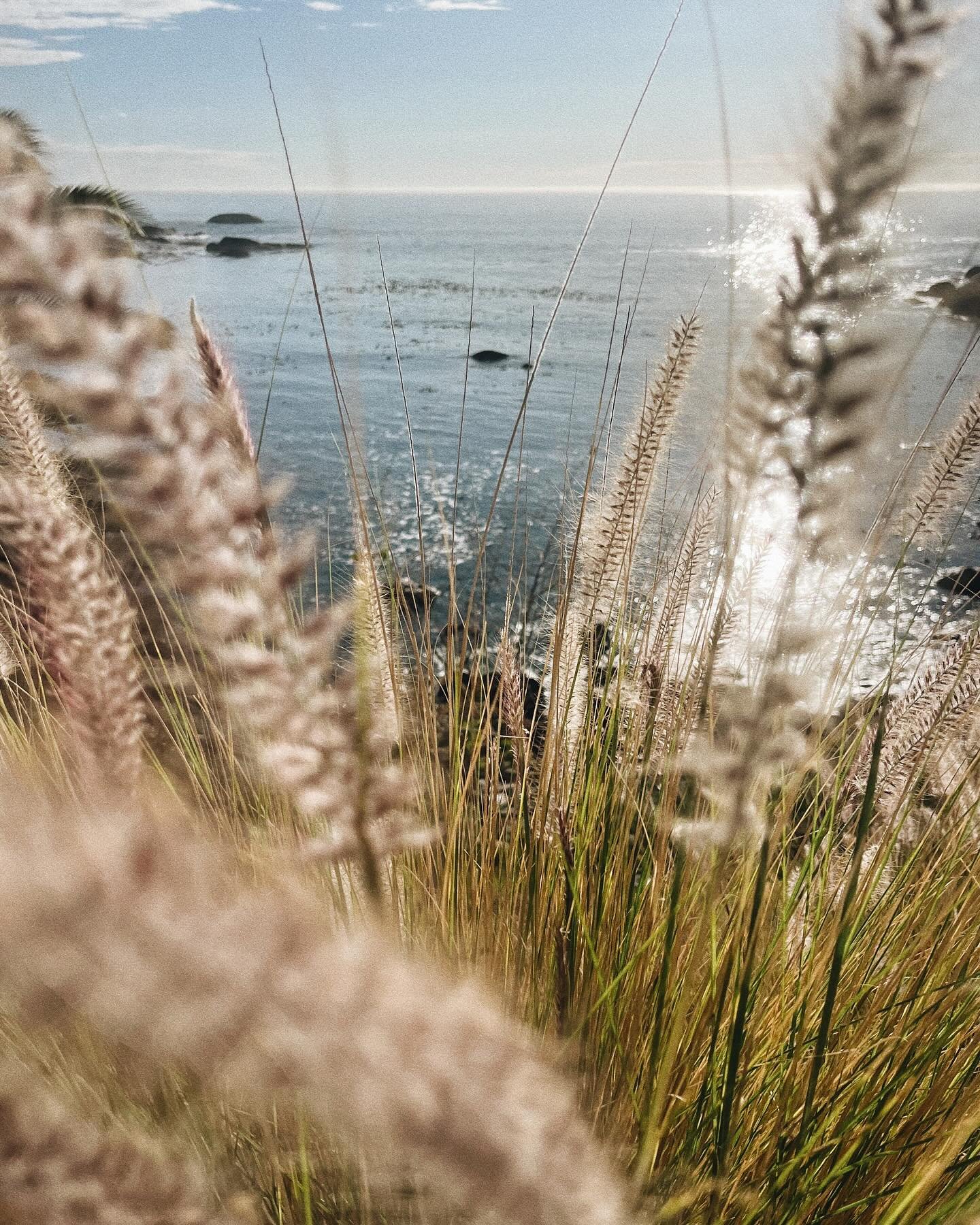While the warmer weather went away. Autumn Edit 🌾
