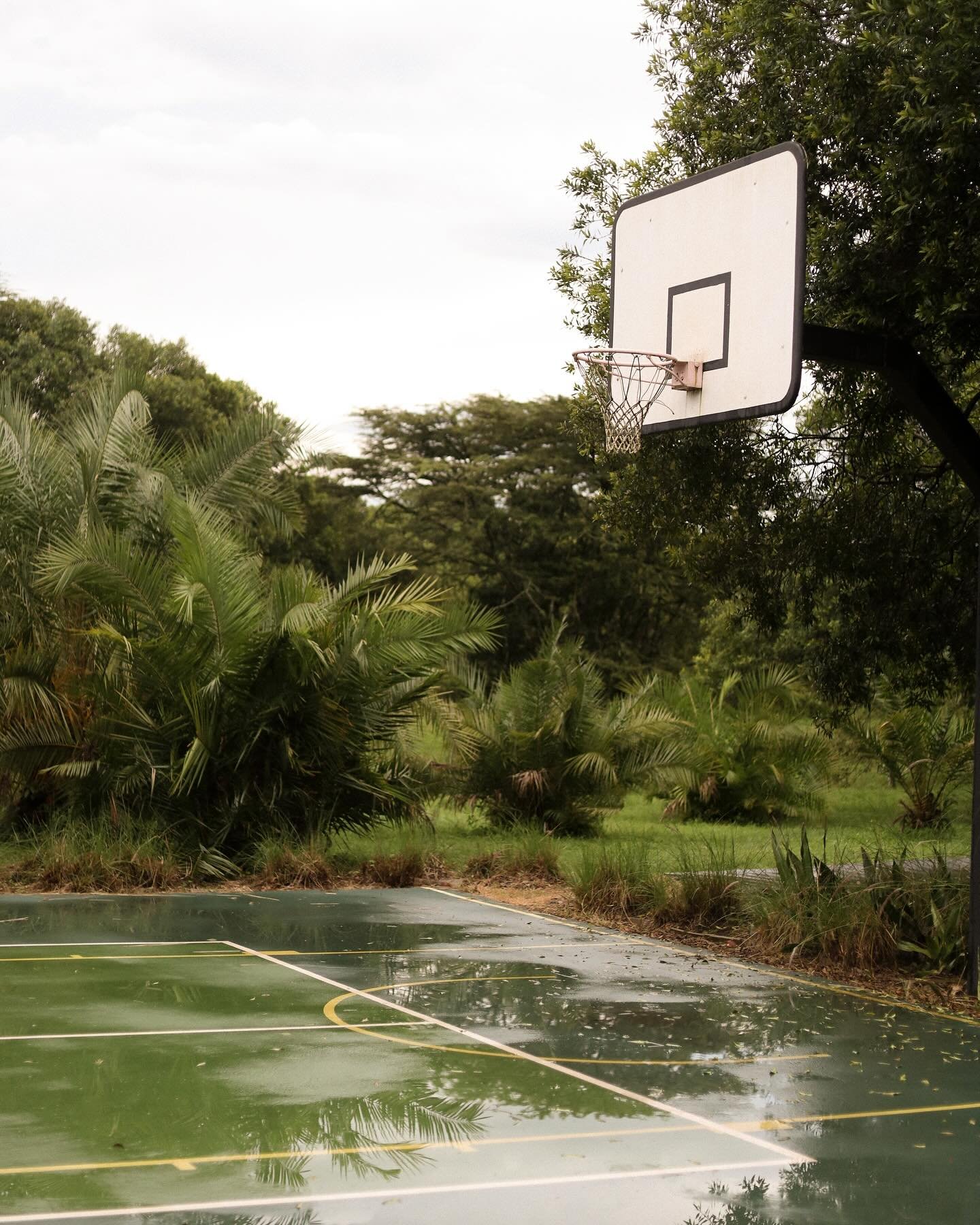 Safari sports. 🏀 🦓 🌴 🤠 

@houseinthewild 
@horsesinthewild_