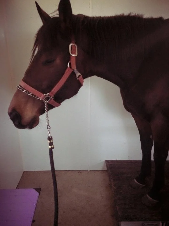 Enjoying a Morning Theraplate Session