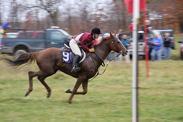 Dr Bonny Racing in the GVH Point to Point