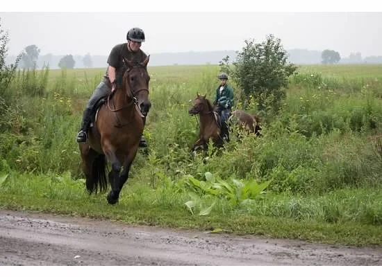 Don on Rachel and Dr Bonny on Connie