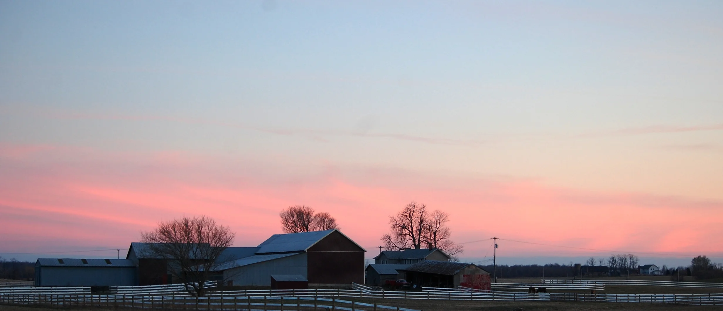 DSC_4297.JPG