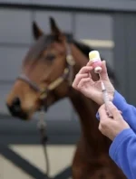 TH-LEGACY-IMAGE-ID-355-vaccination.jpg