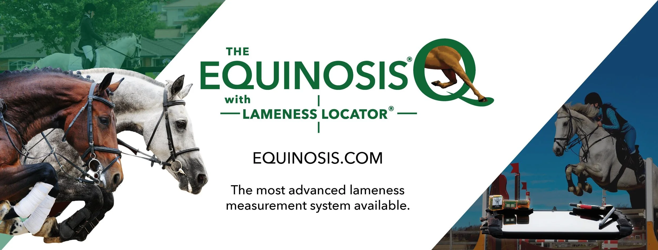 lameness locator.jpg