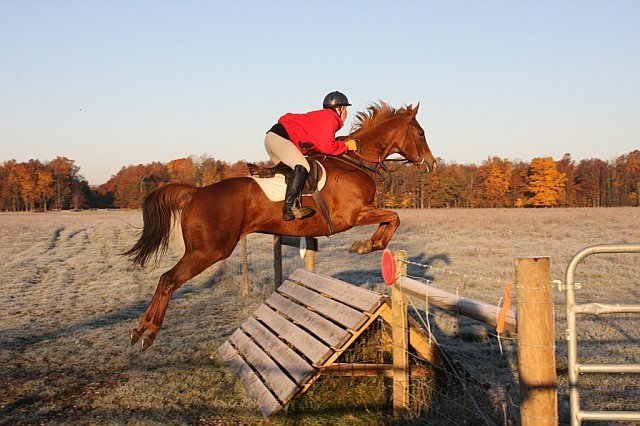 Jumping a Coop