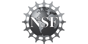 NSF300100.png