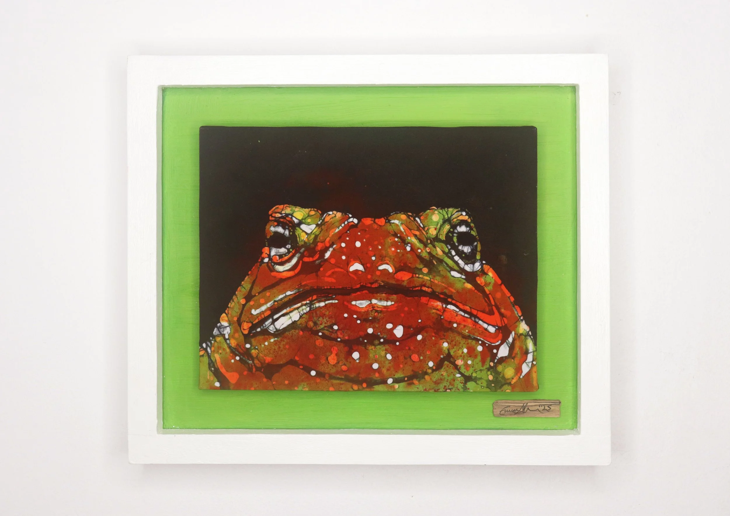 Common Toad in Frame Emma Allen.jpg