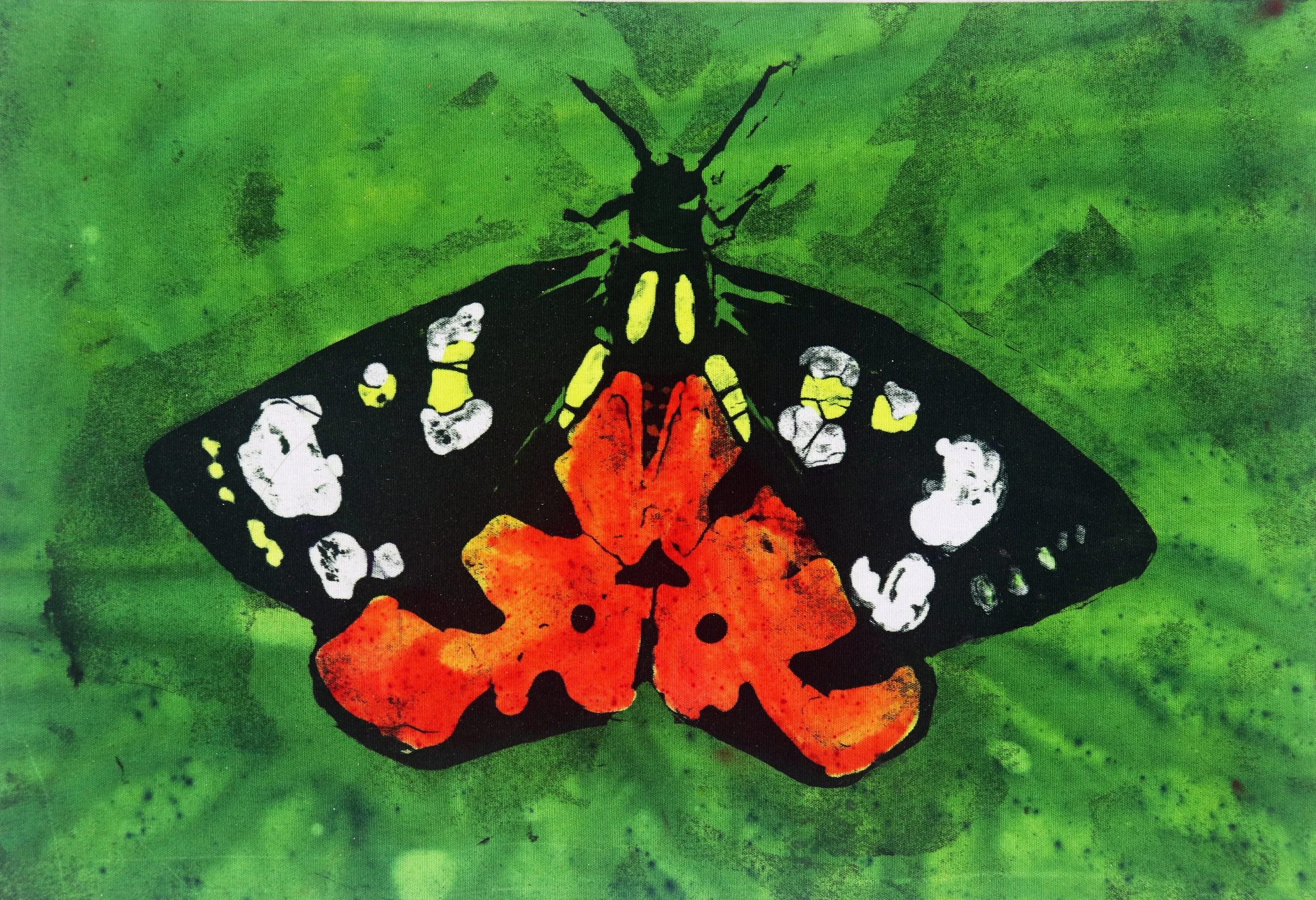 Scarlet tiger moth Batik Emma Allen.jpg