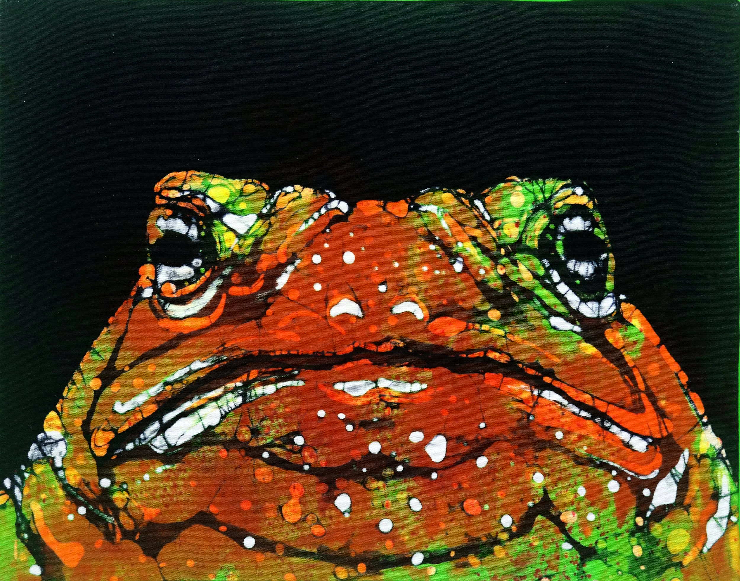 toad canon close up contrast .jpg