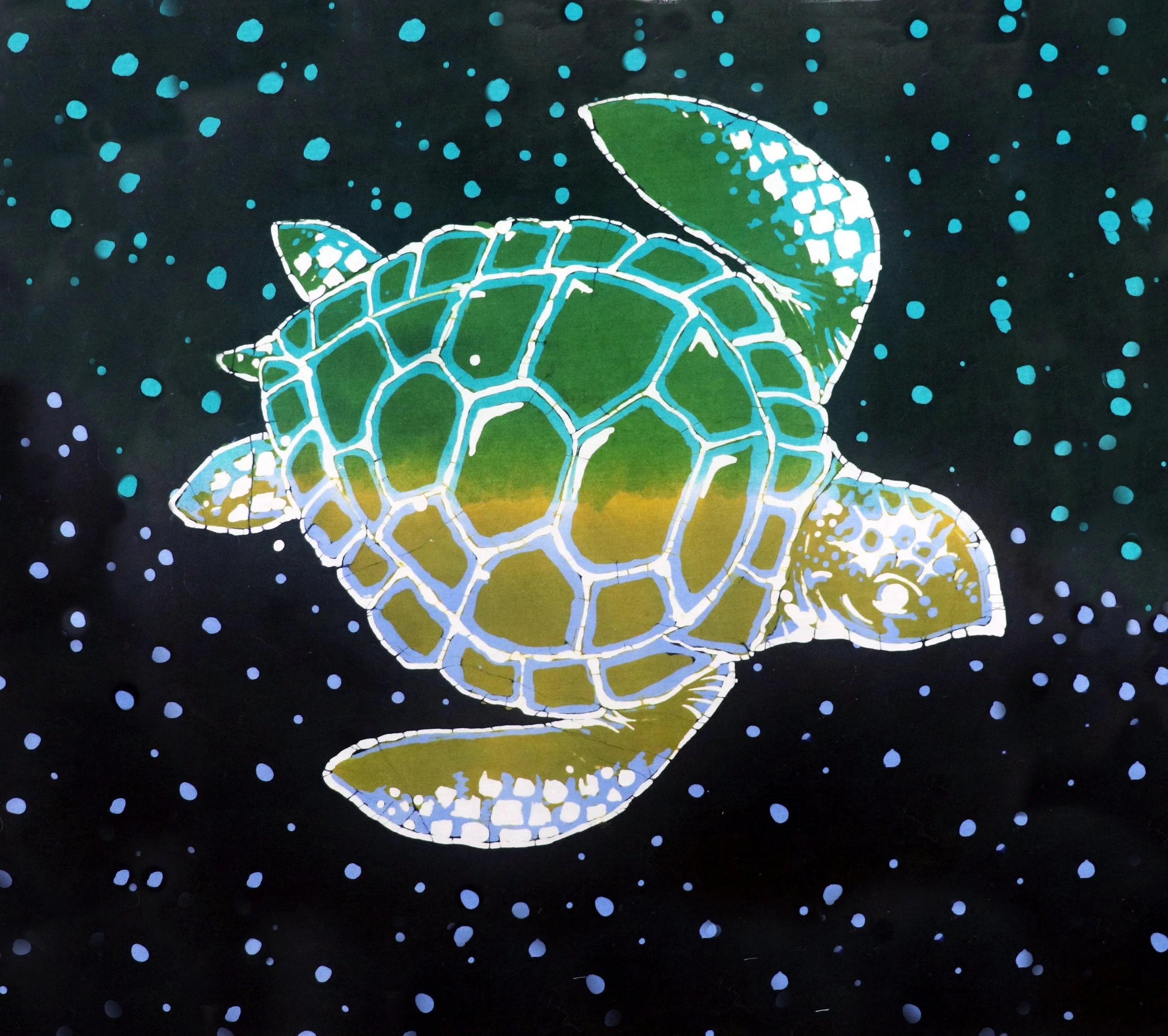 turtle card cannon extended .jpg