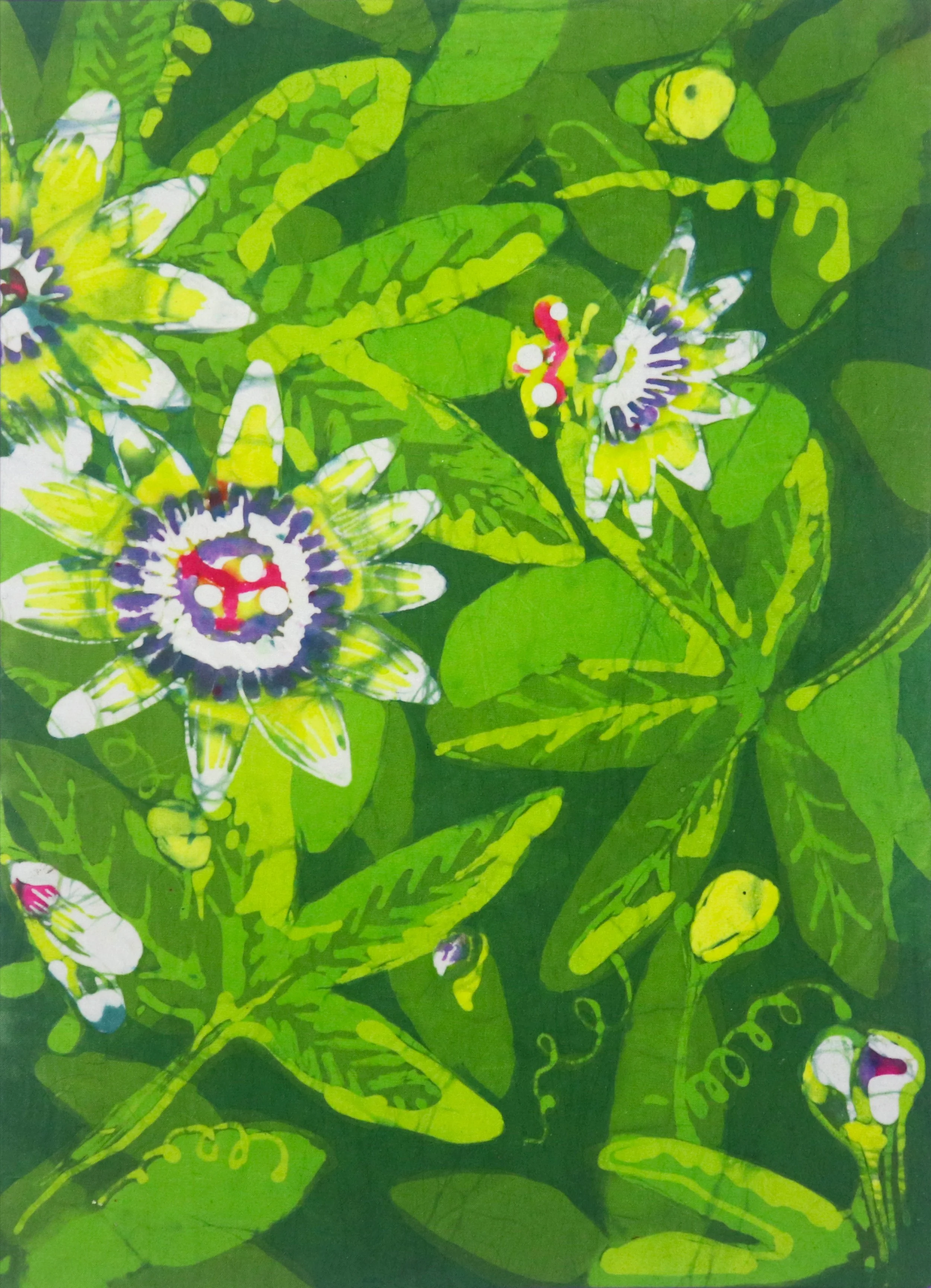 Passion Flower Cannon - close copy.jpg