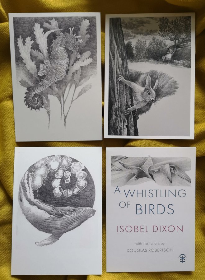 A Whistling of Birds Isobel Dixon Doug Robertson 4 Postcards.jpg