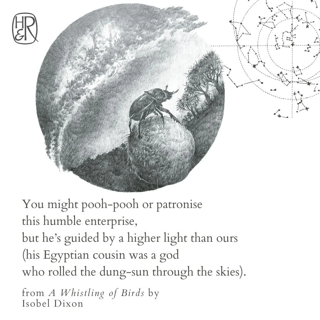 A Whistling of Birds_Dung Beetle.jpg