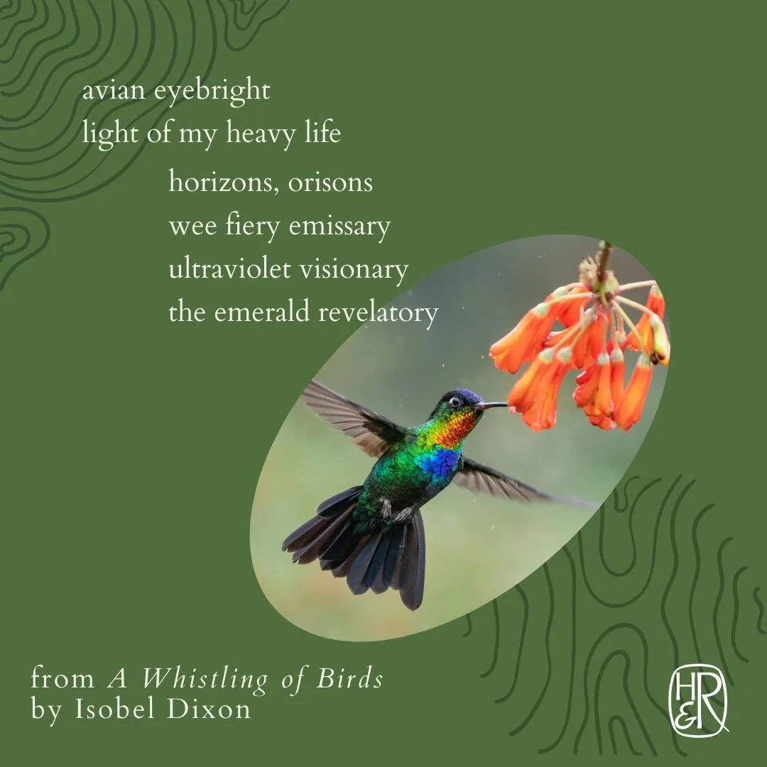 A Whistling of Birds_Hummingbird.jpg