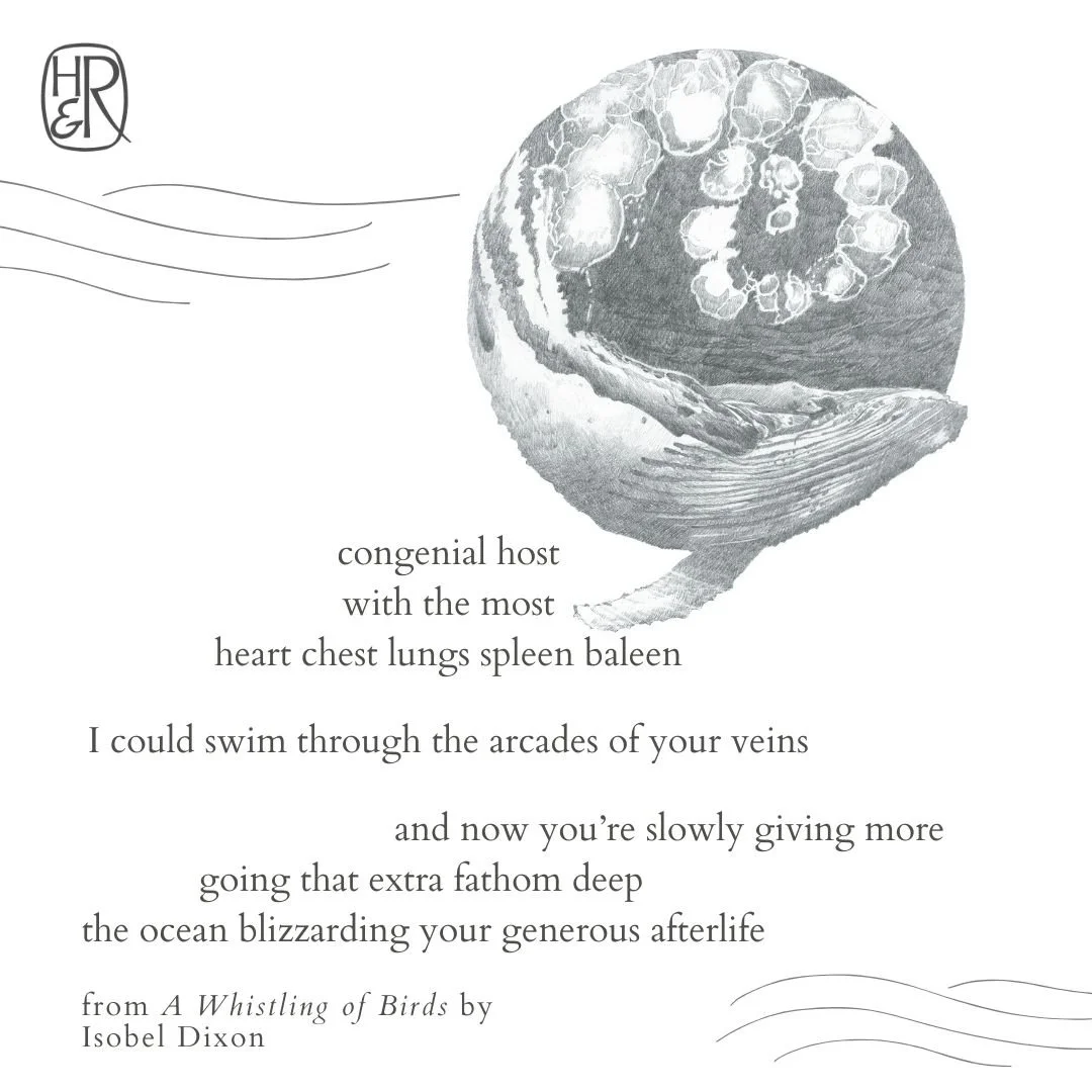 A Whistling of Birds_Whalefall.jpg