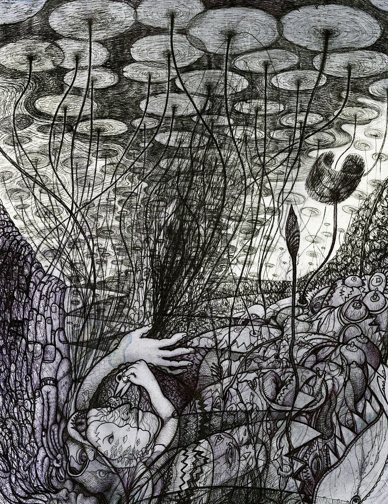 Doodle (Underneath A Lotus Pond)