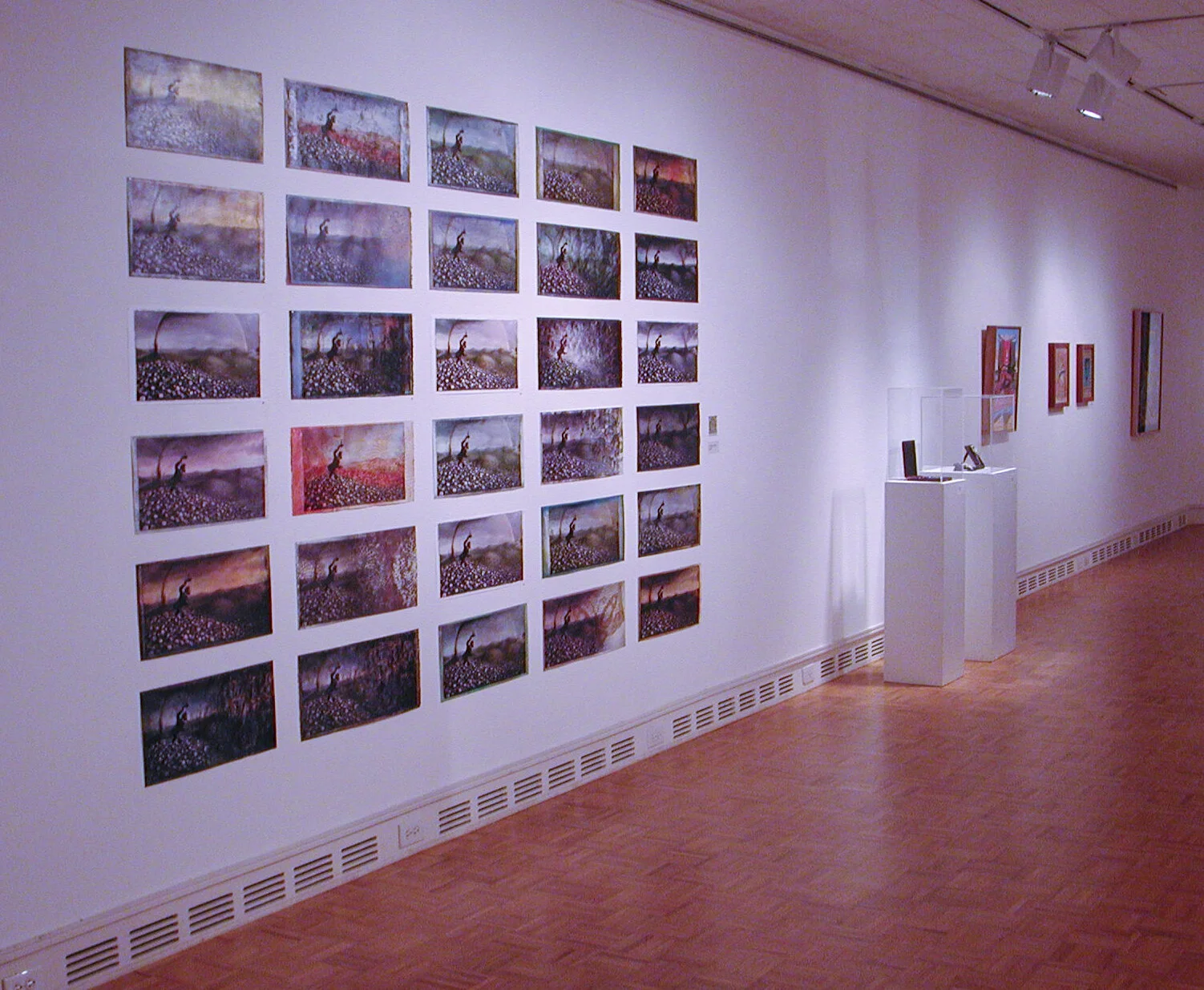 Installation view of 30 unique versions of "The Adventures Of Icarus Elck"