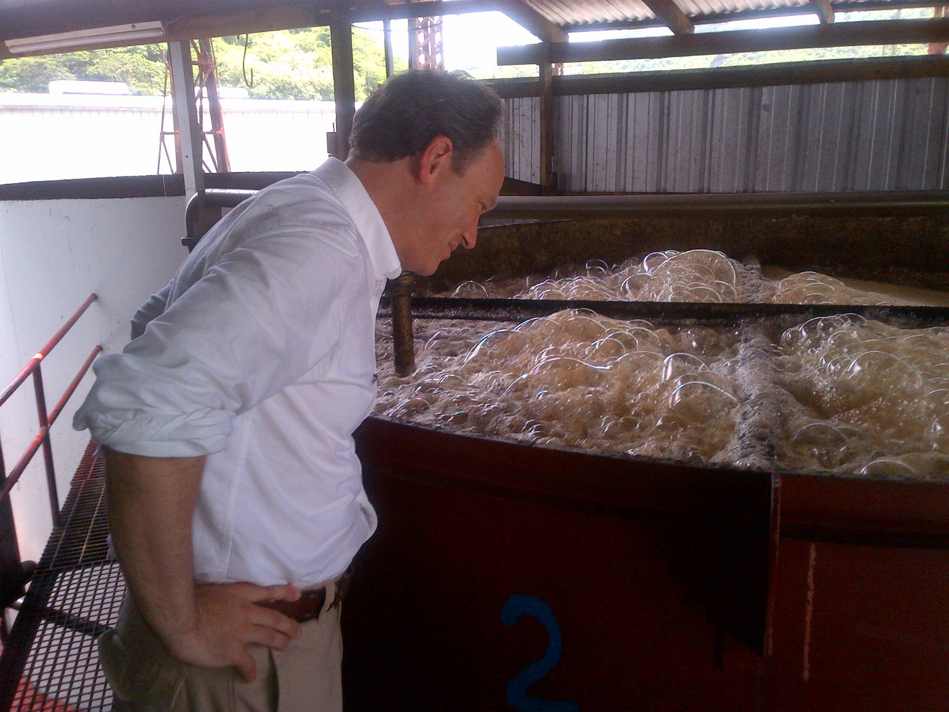 Fermentation