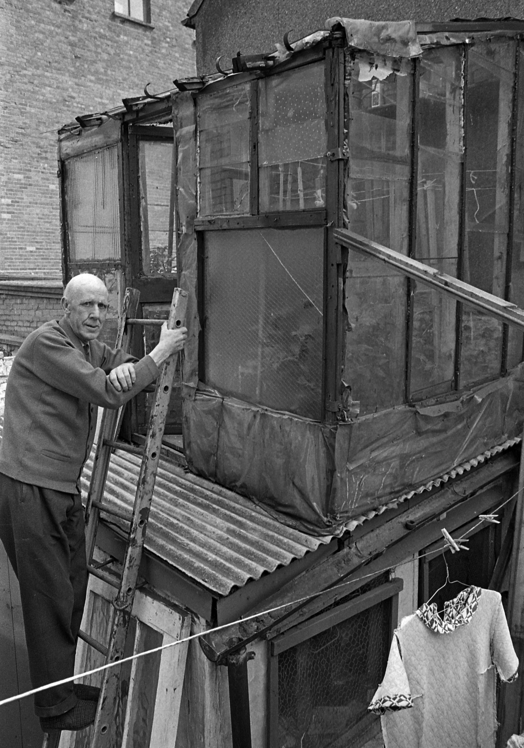 SR1974 - 29 Backyard greenhouse.jpg